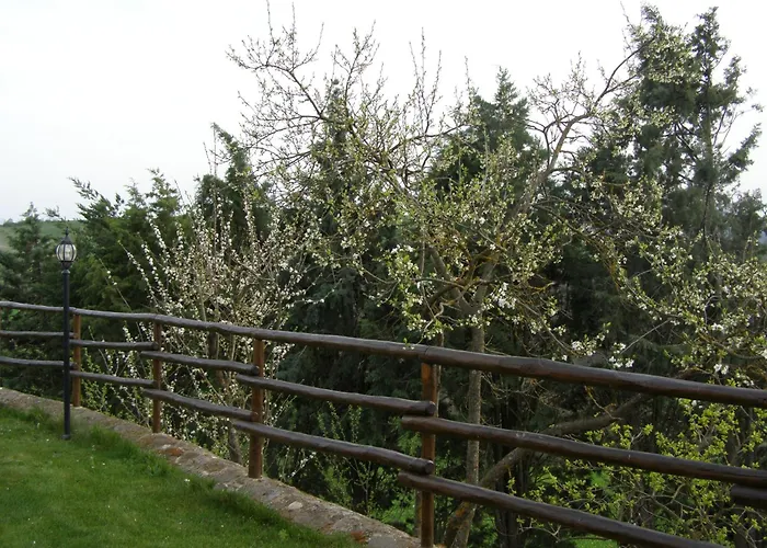 Agriturismo Collesassi Montalcino